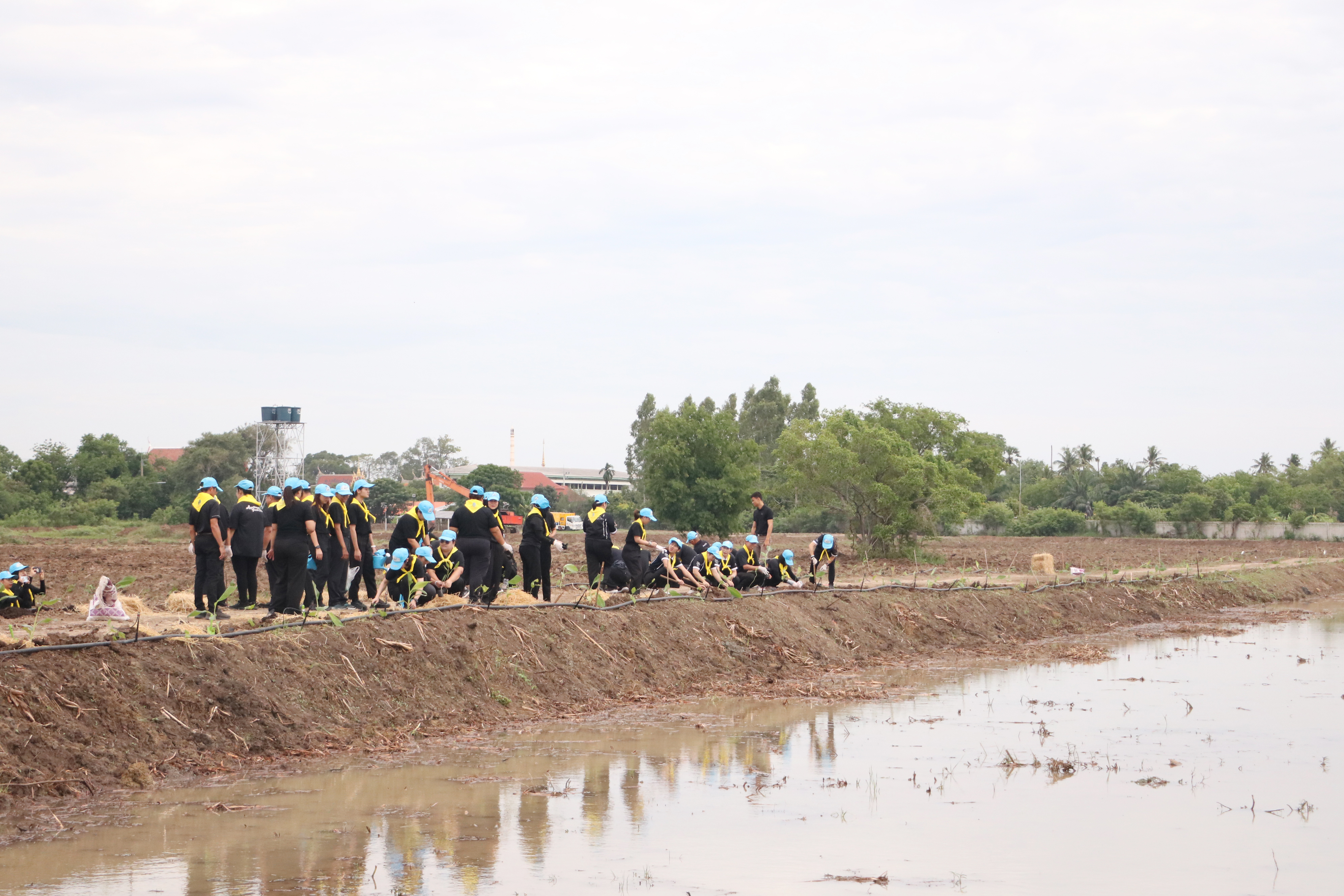 title - ส.ป.ก. ร่วมกิจกรรมโครงการจิตอาสาพัฒนาด้านการเกษตร กษ. เฉลิมพระเกียรติสมเด็จพระนางเจ้าฯ พระบรมราชินี เนื่องในโอกาสมหามงคลเฉลิมพระชนมพรรษา 4 รอบ 3 มิถุนายน 2569